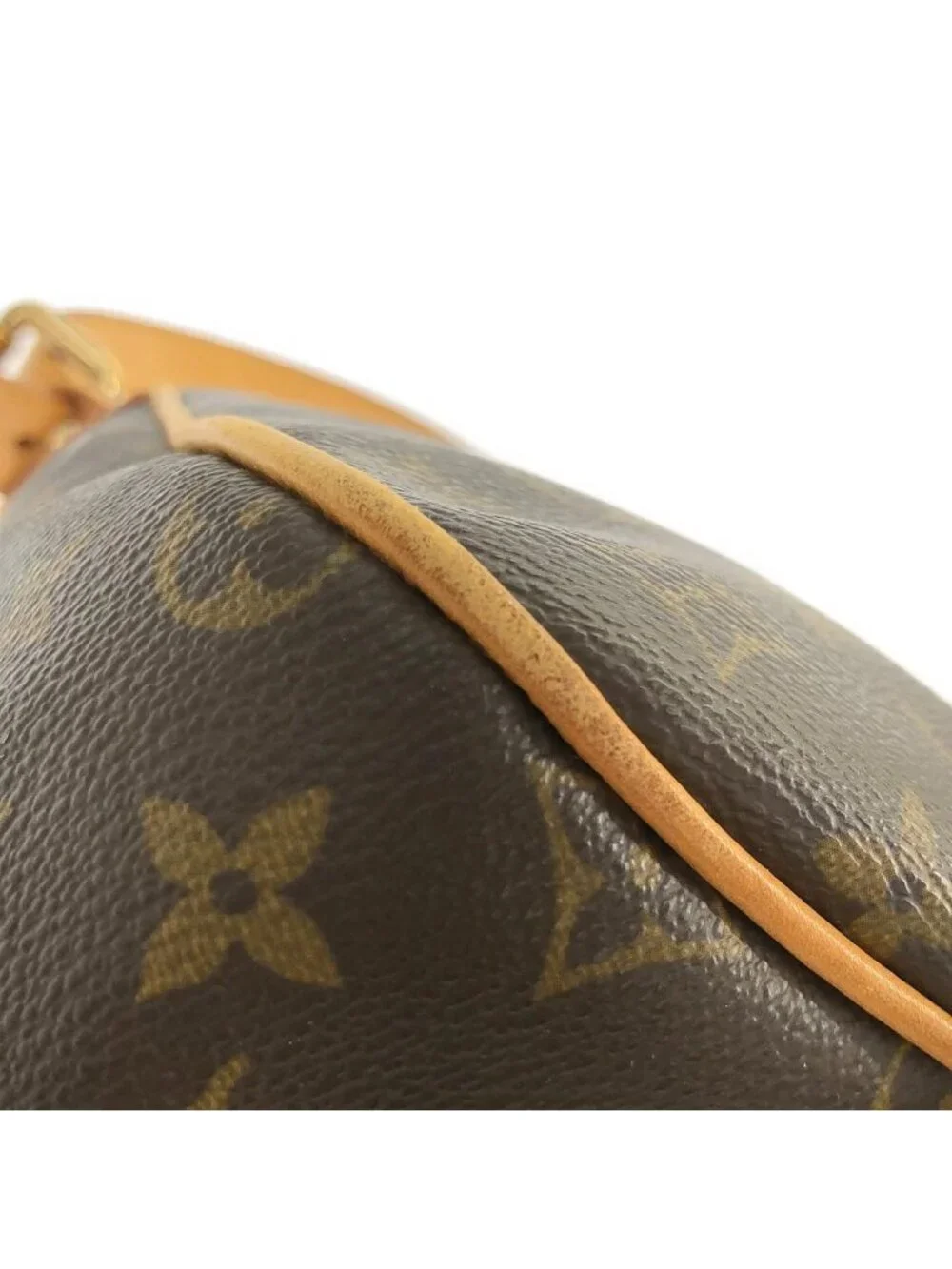 Louis Vuitton Monogram Hudson GM Shoulder